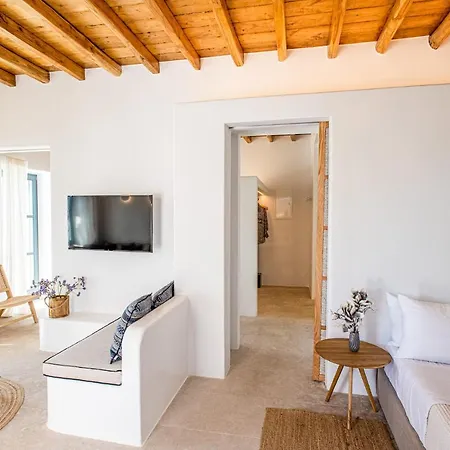 Vila Mykonos House Serene